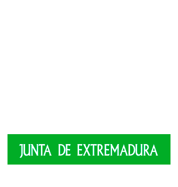 FORMACIÓN SERVICIO PLURAL